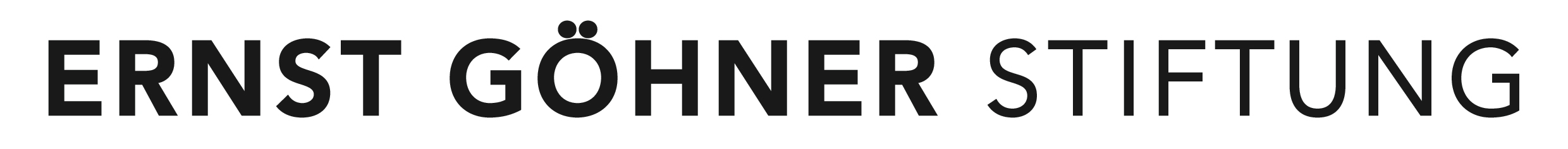 Ernst Ghner Stiftung